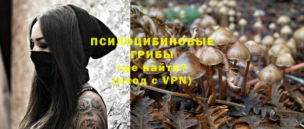 МДПВ Богданович