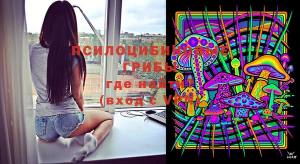 МДПВ Богданович